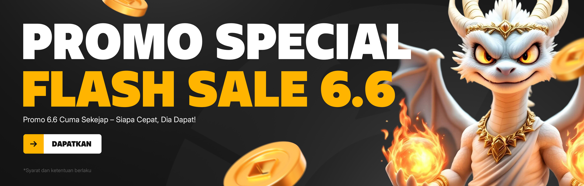 FLASH SALE 6.6
