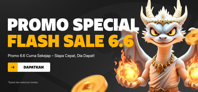 FLASH SALE 6.6